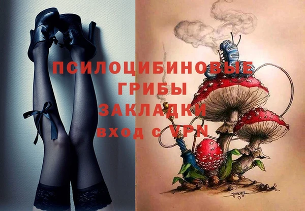 дживик Володарск