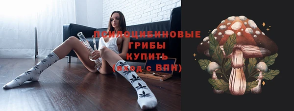 дживик Володарск