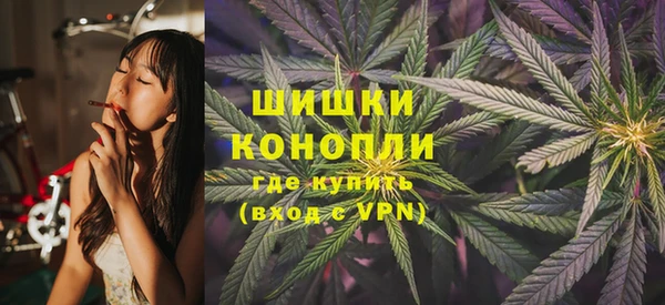 дживик Володарск