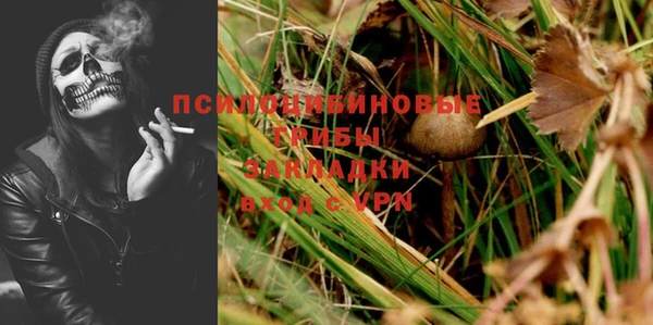 дживик Володарск