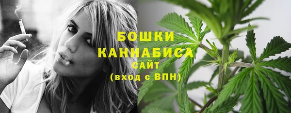 первитин Тавда